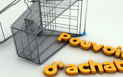 [RCIP] LE POUVOIR D’ACHAT DES SALARIÉS N’A PAS DE PRIX !