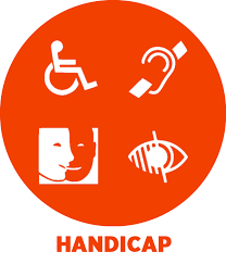 WEBINAIRE SUR LE HANDICAP